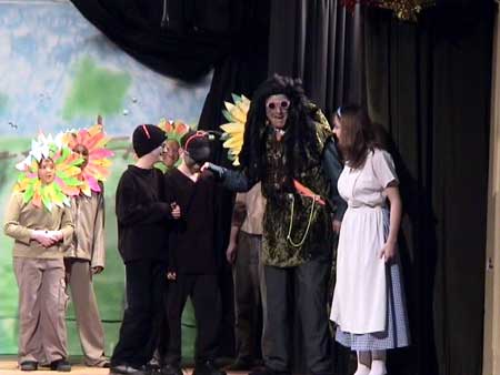 The flowers, Cat. R Pillar, Cent. E Pede and Mill. E Pede