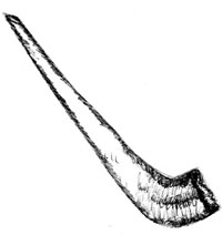 Shofar-Trumpet