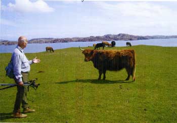 The Cow only understands Gaelic
